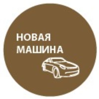 Полироль для пластика RECTOR  в аэрозольной упаковке 320 мл Новая машина