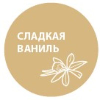 Полироль для пластика RECTOR  в аэрозольной упаковке 320 мл Сладкая ваниль